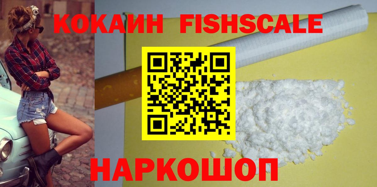 COCAIN Fish Scale  Вход с VPN  Приморско-Ахтарск  купить закладку  Кокаин Эквадор 