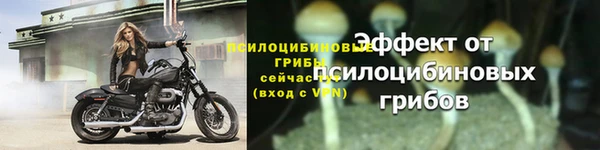 PSILOCYBIN Нефтекумск