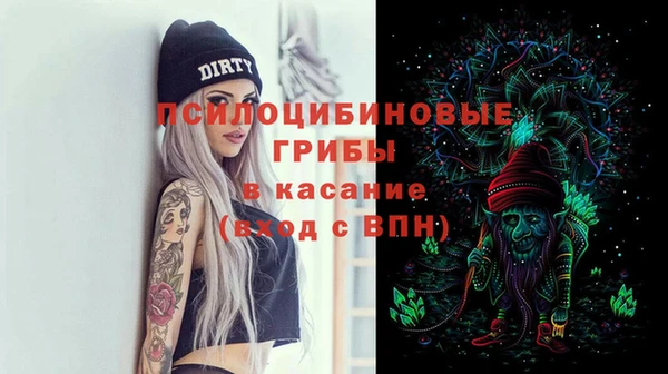 молекула духа Нея