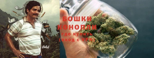 ПСИЛОЦИБИНОВЫЕ ГРИБЫ Абинск