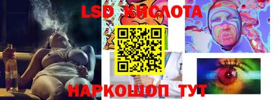 крисы Свободный