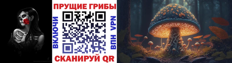 Галлюциногенные грибы Cubensis  Приморско-Ахтарск 