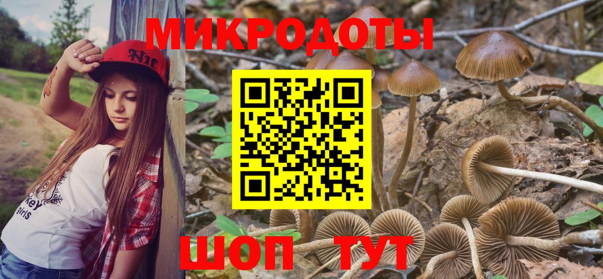 Галлюциногенные грибы мухоморы Приморско-Ахтарск